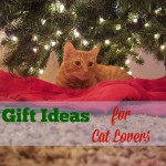 Gift Ideas for Cat Lovers! #VZWBuzz