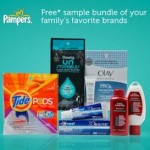 Pampers Bundle of Joy Event at Walmart earns you free goodies!