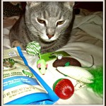 Purr Packs Review!