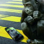 Corning Gorilla Glass 4 protects your devices while looking great!