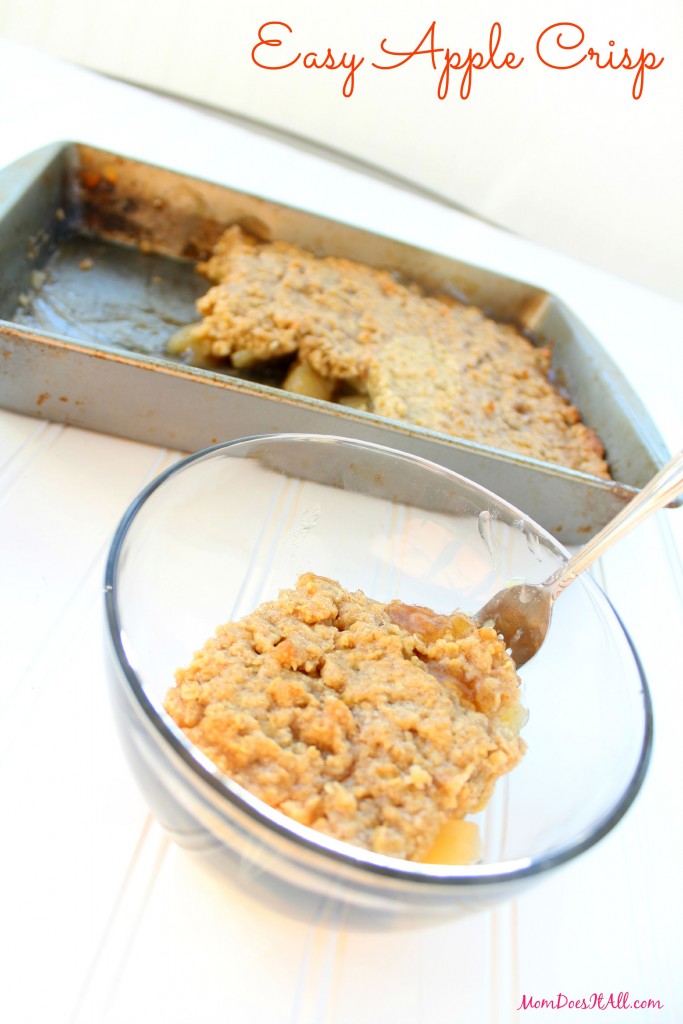 Easy Apple Crisp Recipe 