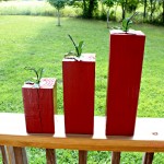 DIY Wooden Apples.