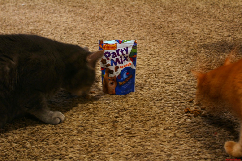 Purina products