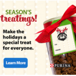 DIY Cat Toy Box – a Purina DIY Holiday!