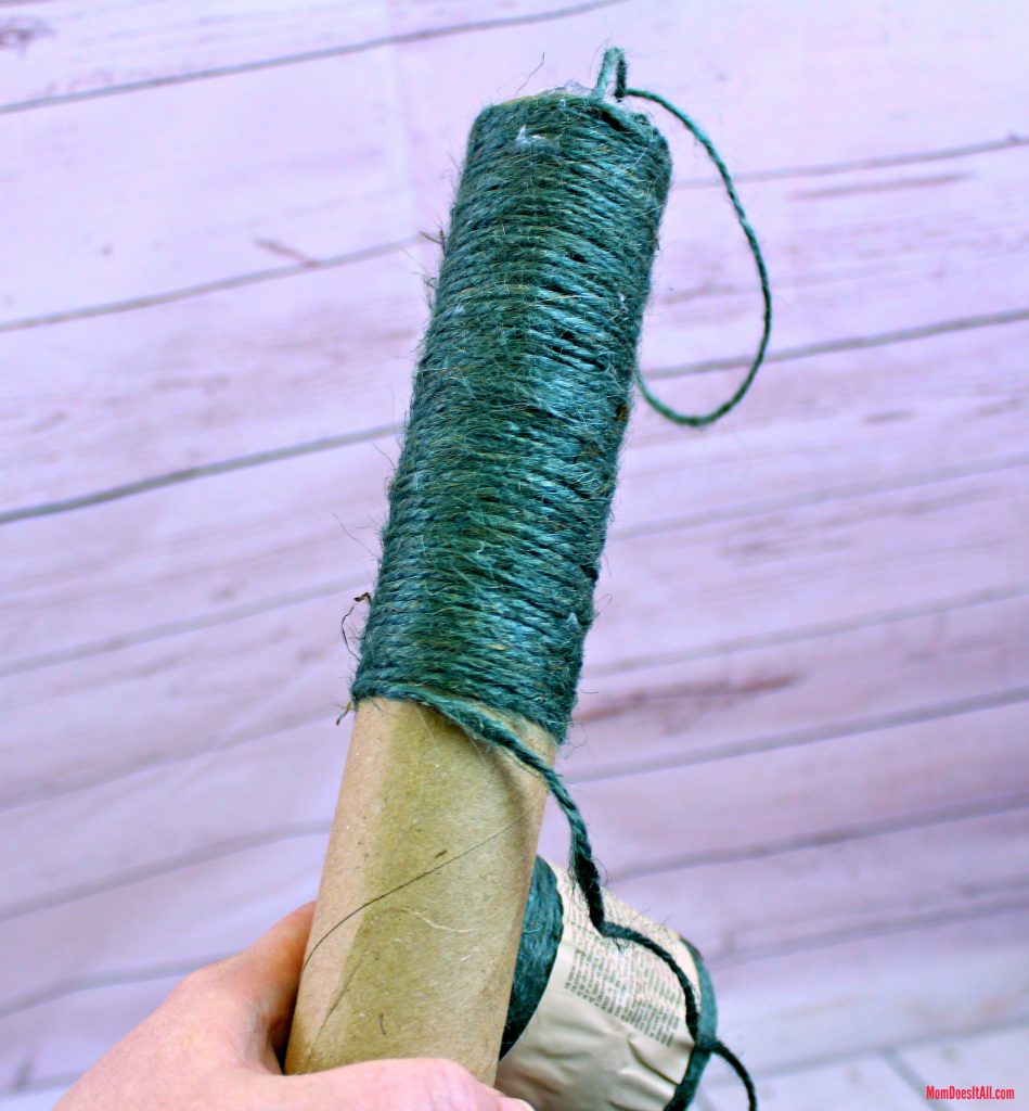DIY Cat Scratch Toy