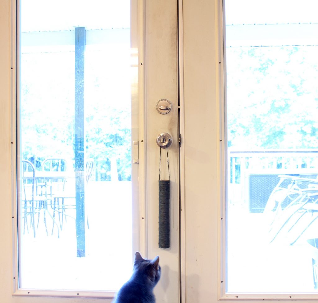 DIY Cat Scratch Toy